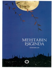 MEHTABIN IŞIĞINDA -DENEMELER-